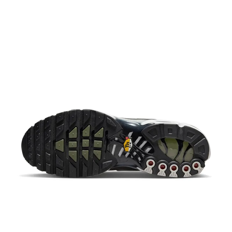 Nike Air Max Plus Flat Pewter (DV7665-002)