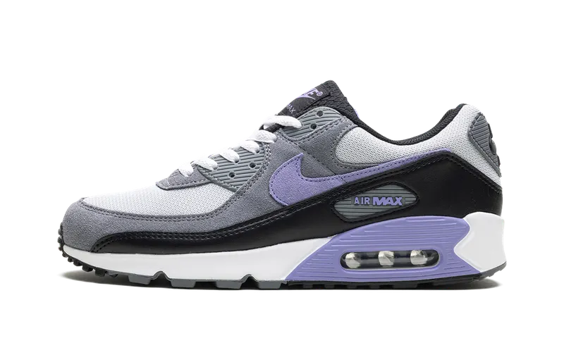Nike Air Max 90 “Light Thistle” (DM0029-014)