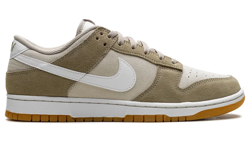 nike-dunk HQ1931-100