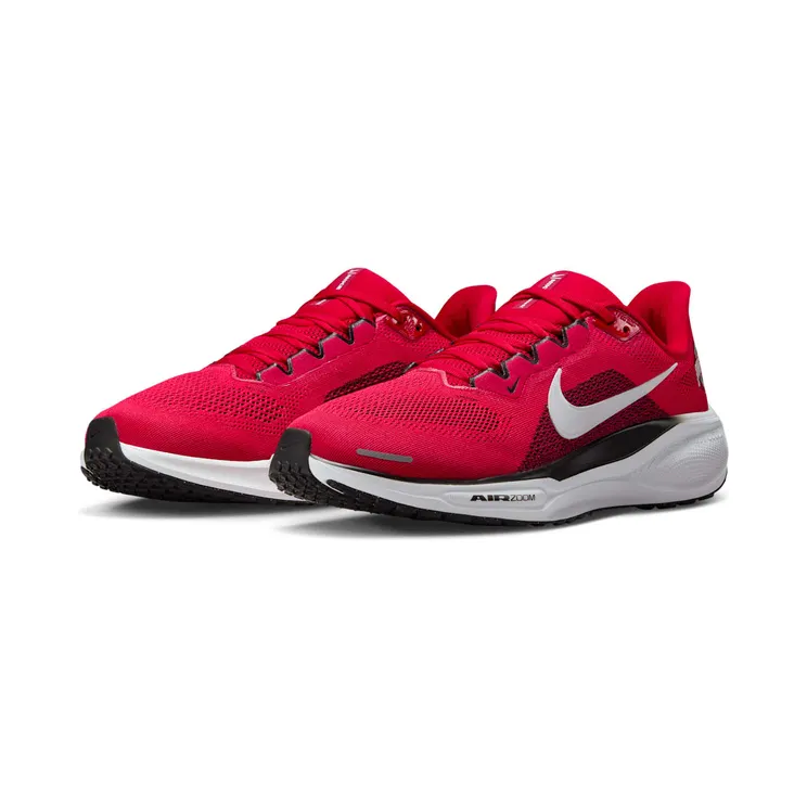 nike-air-zoom IB3254-600