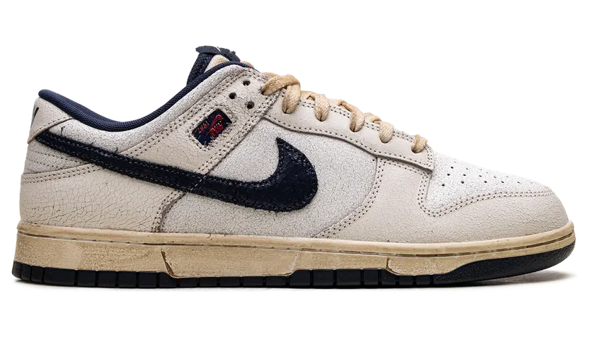 nike-dunk IH6766-001