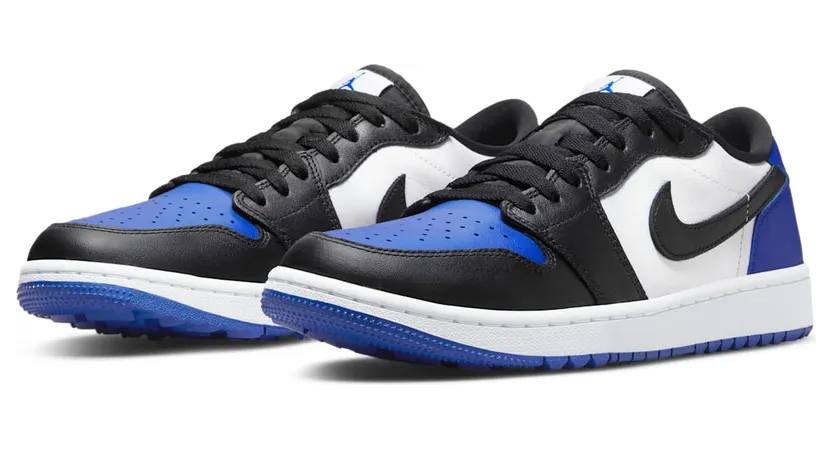 air-jordan-1 DD9315-102