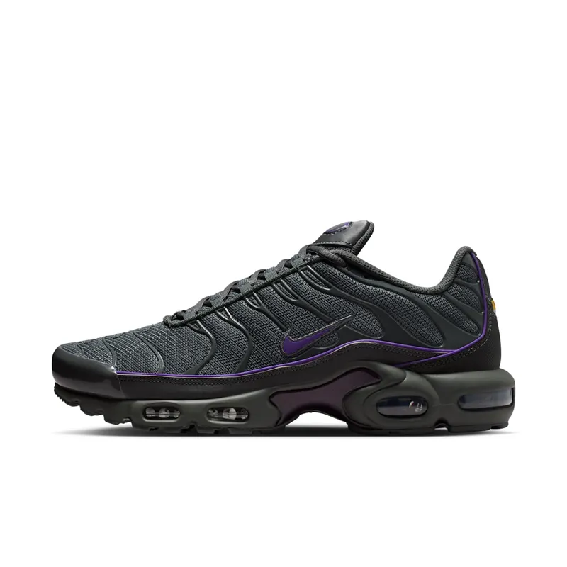 Nike Air Max Plus OG Iron Grey Wild Grape (HV8066-001)