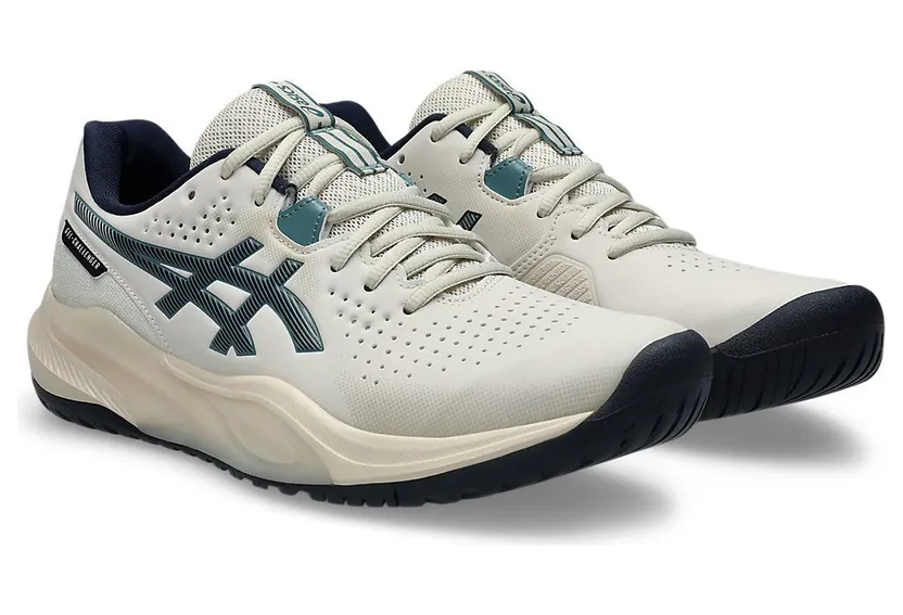 asics-gel-challenger 1041A510-250
