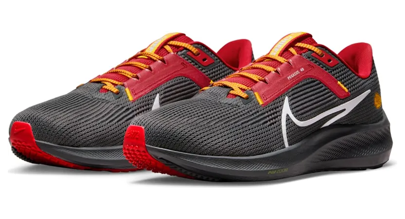 nike-air-pegasus DZ5985-001