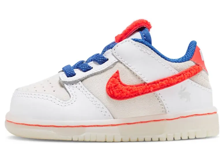 Nike Dunk Low FD4625-161