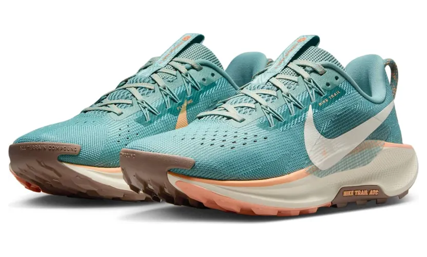 nike-air-pegasus DV3865-010