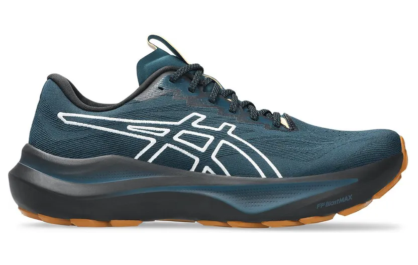 Asics GT 2000 1011C129-300