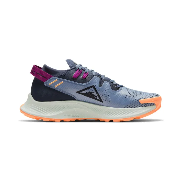 nike-air-pegasus CK4309-401