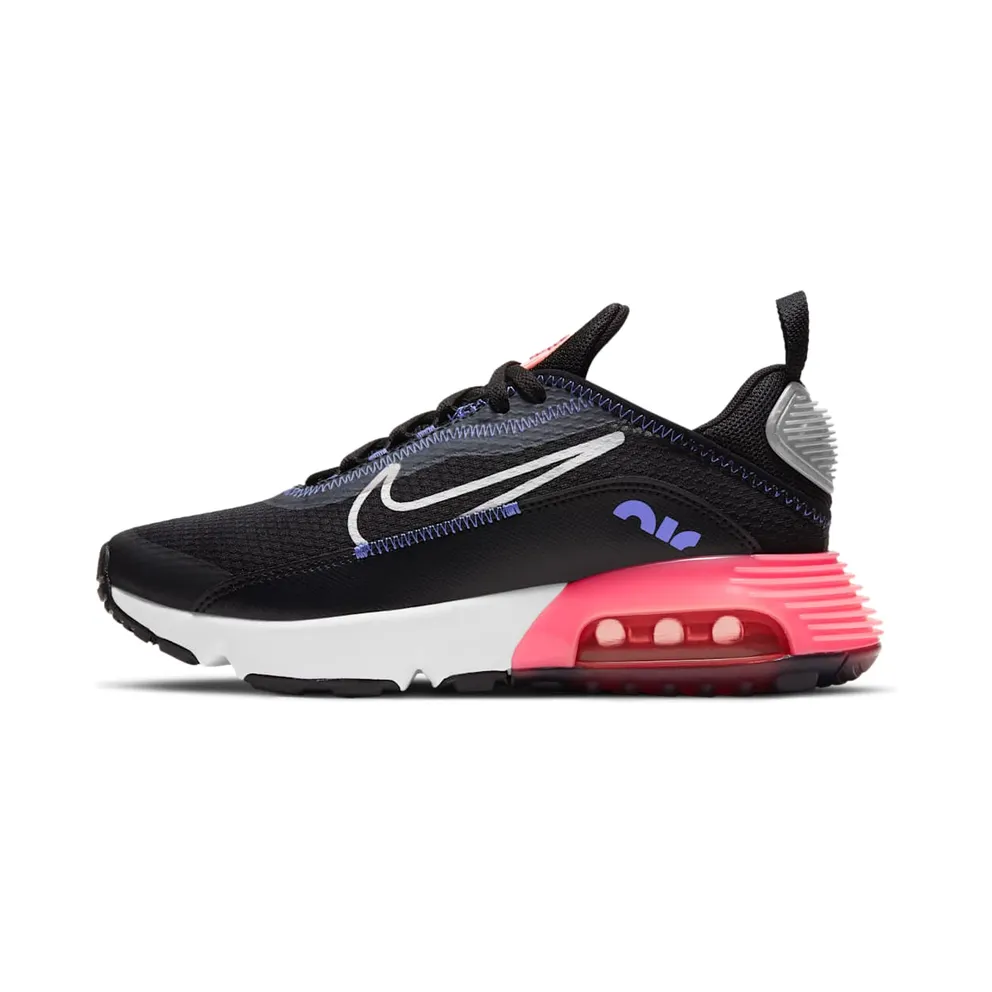 Nike Air Max 2090 Schwarz (CJ4066-011)
