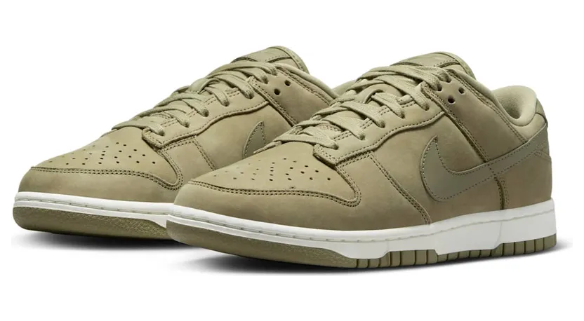 nike-dunk DV7415-200