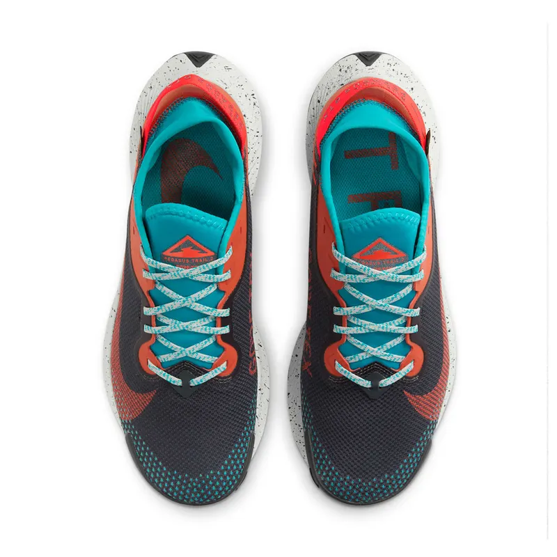 Nike Pegasus Trail 2 GORE-TEX Trail Running Black (DH0202-001)