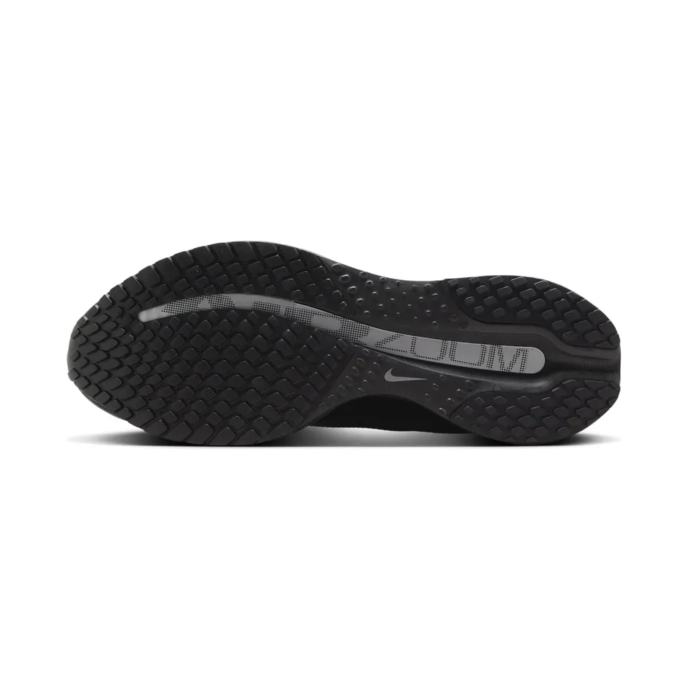Nike Pegasus Premium “Black Metallic Silver” (HQ2592-005)