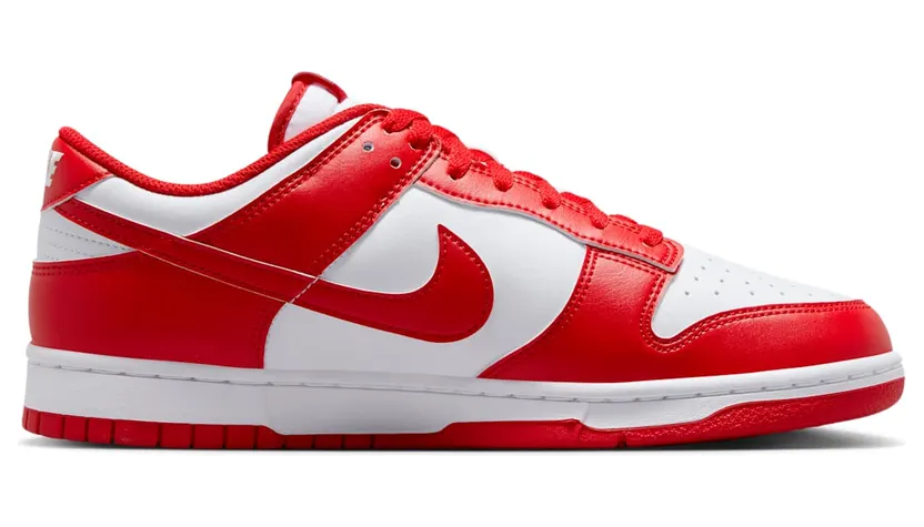 nike-dunk HF5441-104