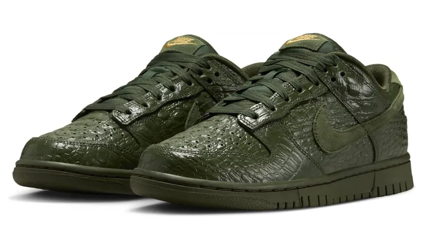 nike-dunk HV4388-300