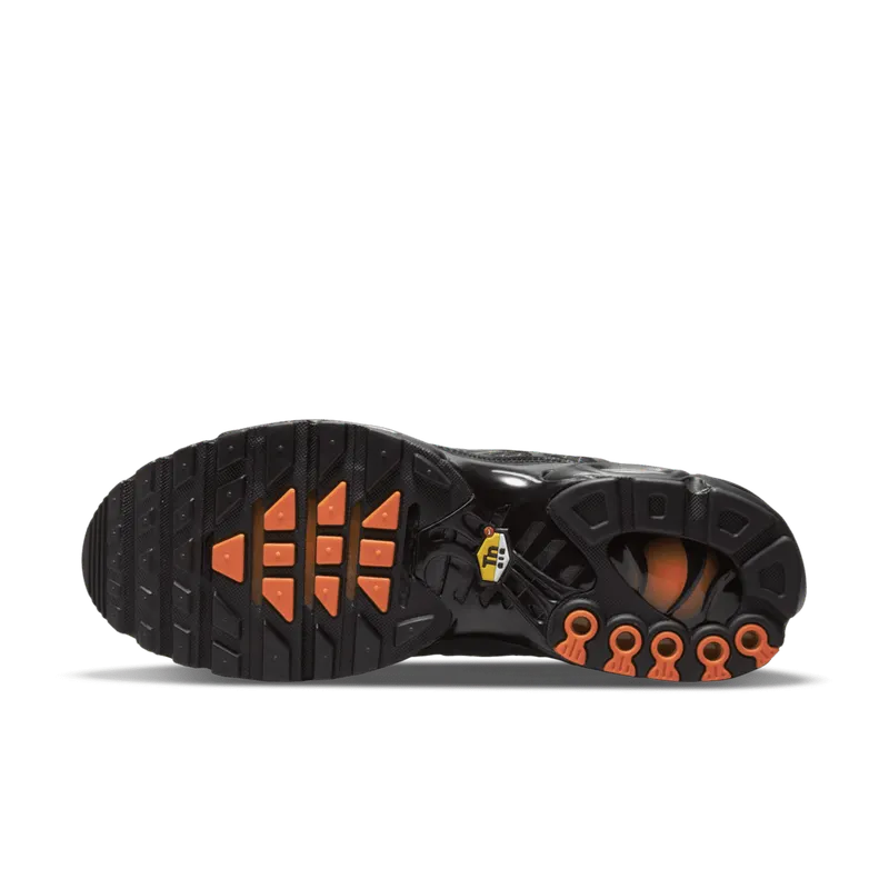 Nike Air Max Plus 3D Swoosh Black (DR0138-001)