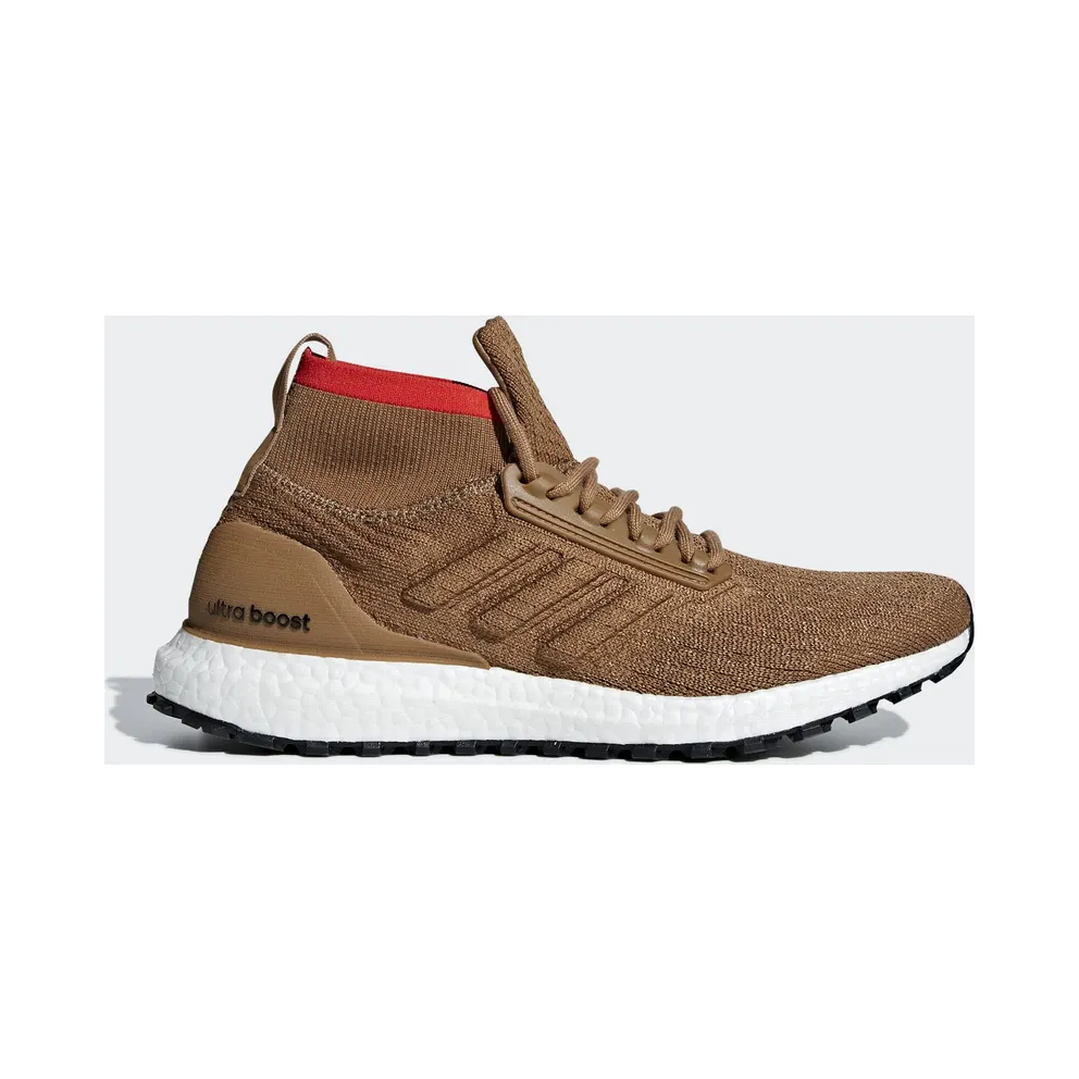 adidas Ultra Boost All Terrain Raw Desert (CM8258)