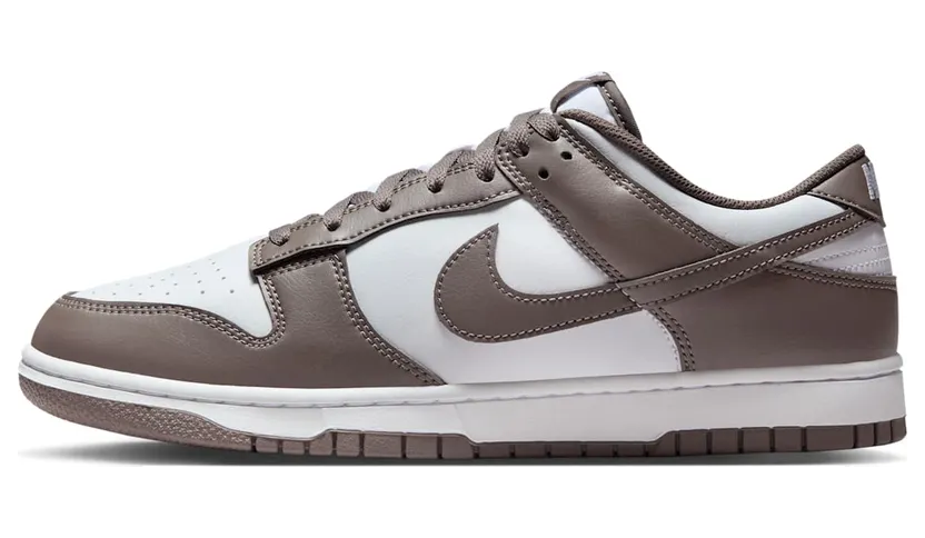 Nike Dunk Low HF5441-111