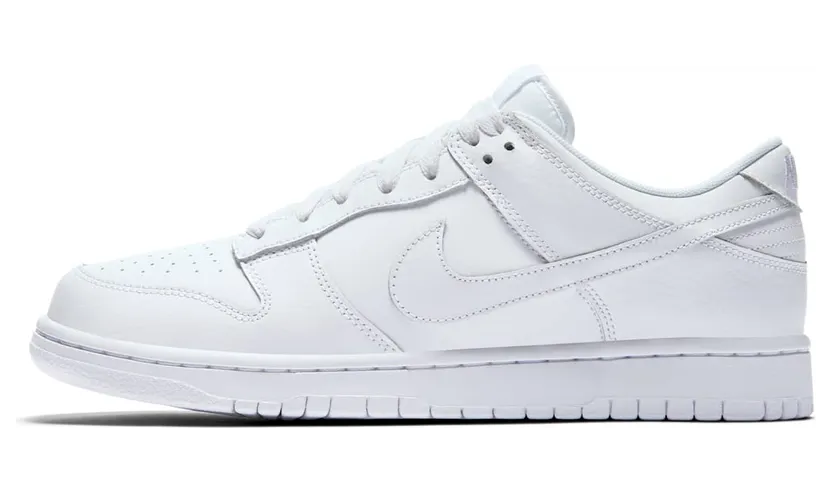 nike-dunk 904234-100