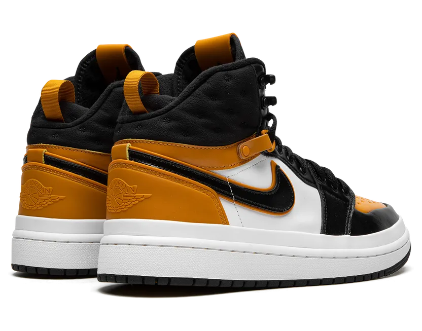 air-jordan-1 DC7723-701