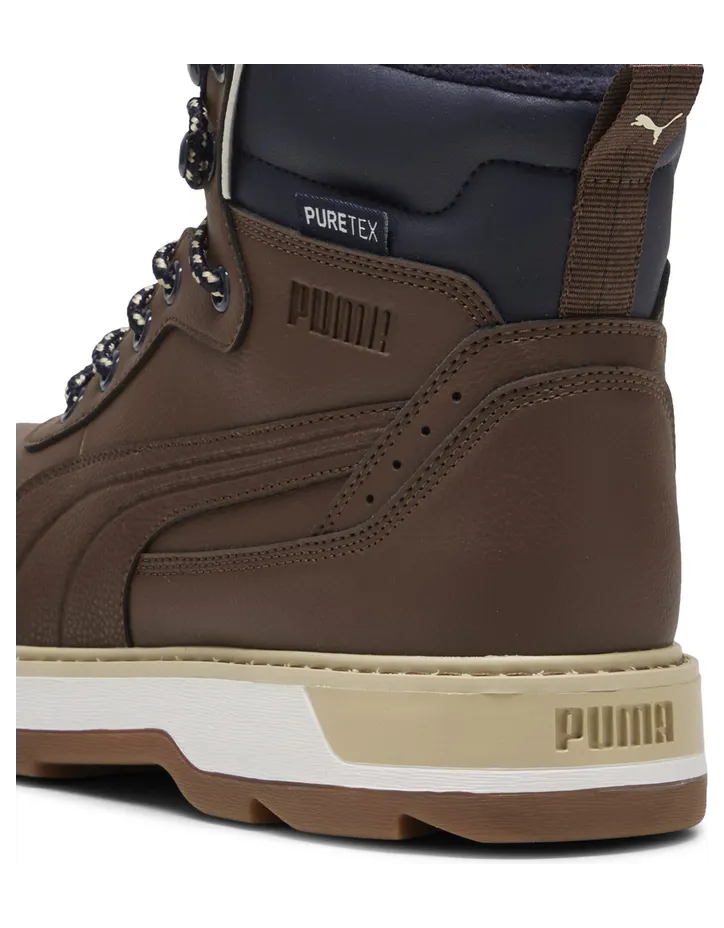 puma-desierto 393928_05
