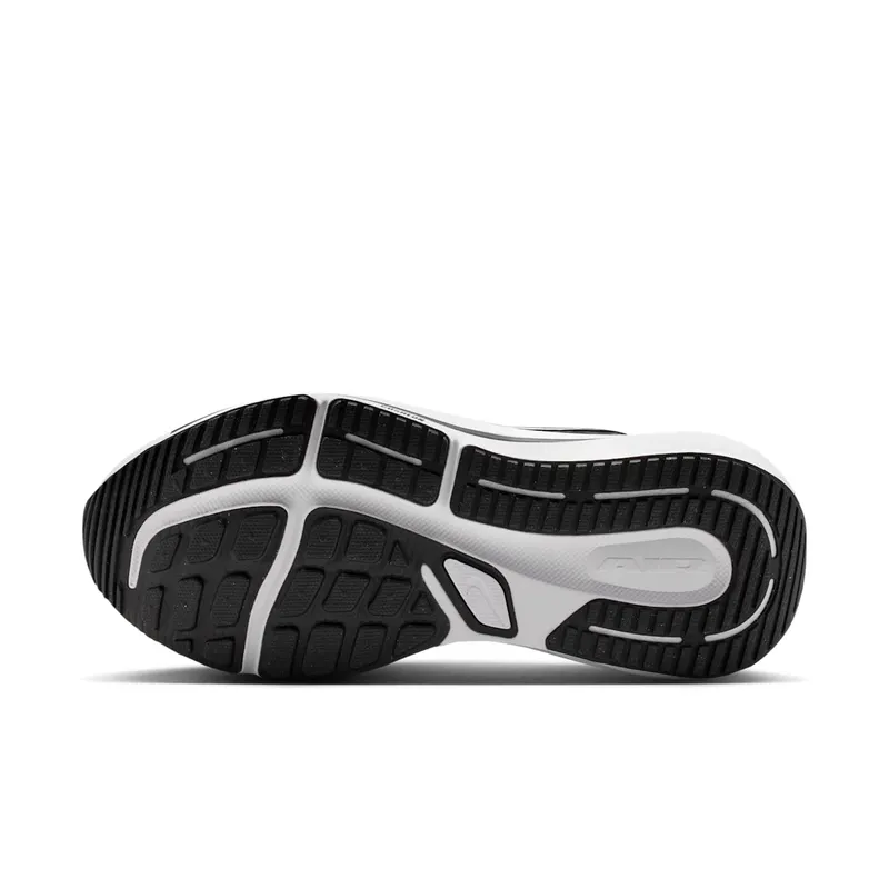 Nike Winflo 12 Black (HV9272-002)