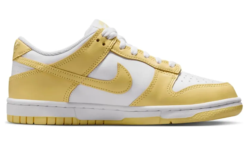 nike-dunk FB9109-126