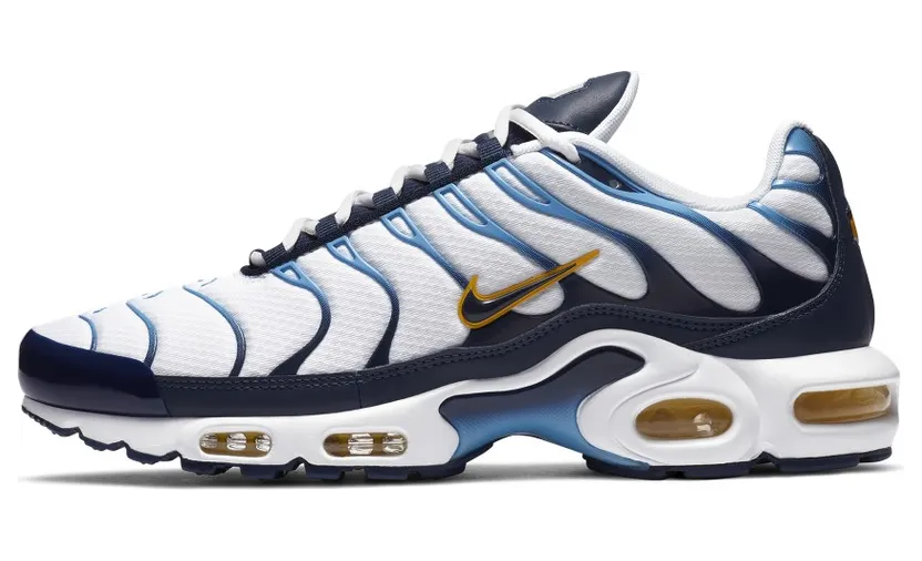 Nike Air Max Plus Wit (CT1094-100)