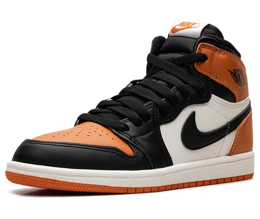 air-jordan-1 FD1412-008