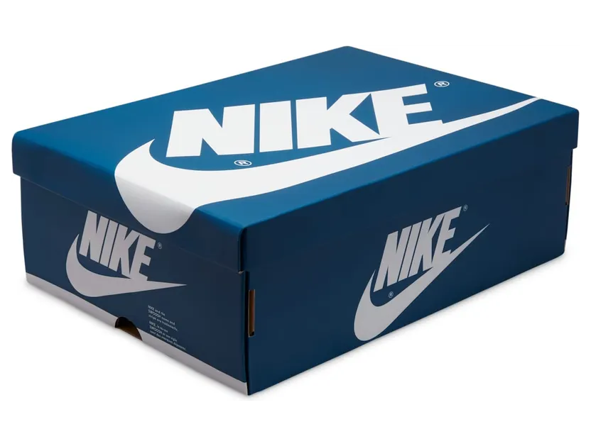 air-jordan-1 DZ5485-410