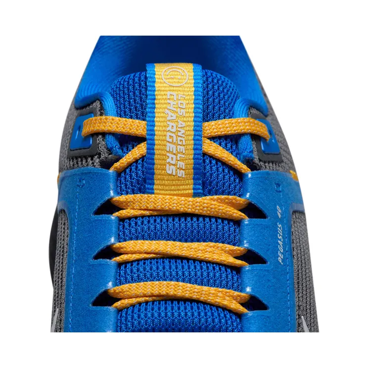 nike-air-pegasus DZ5948-001