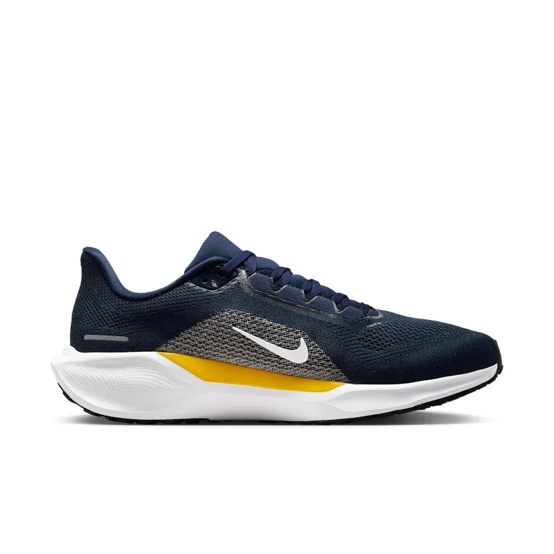 Nike Air Zoom Pegasus 41 Michigan Wolverines (IB3269-400)