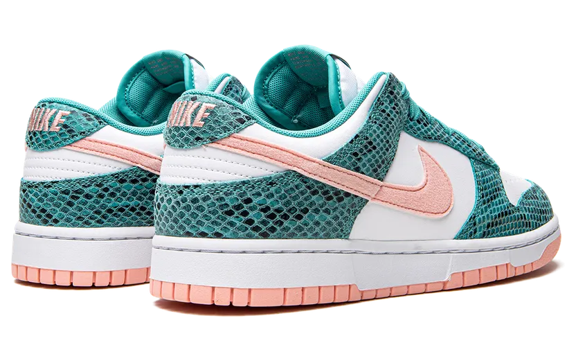 nike-dunk DR8577-300