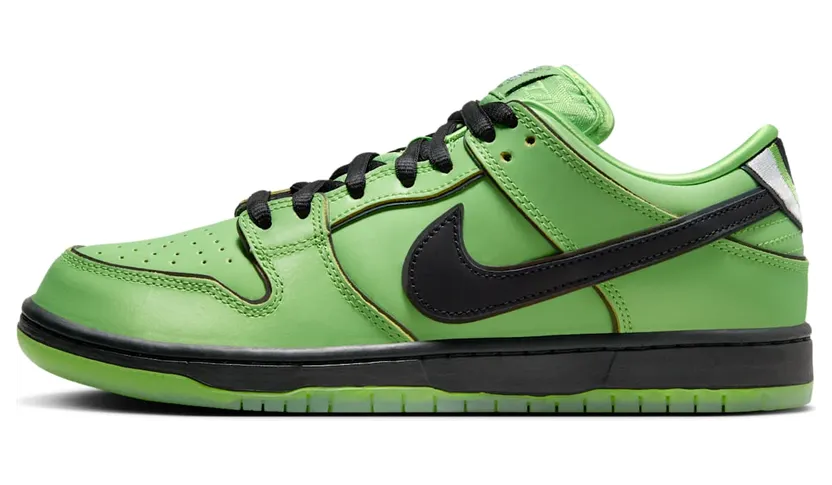 Nike SB Dunk FZ8319-300