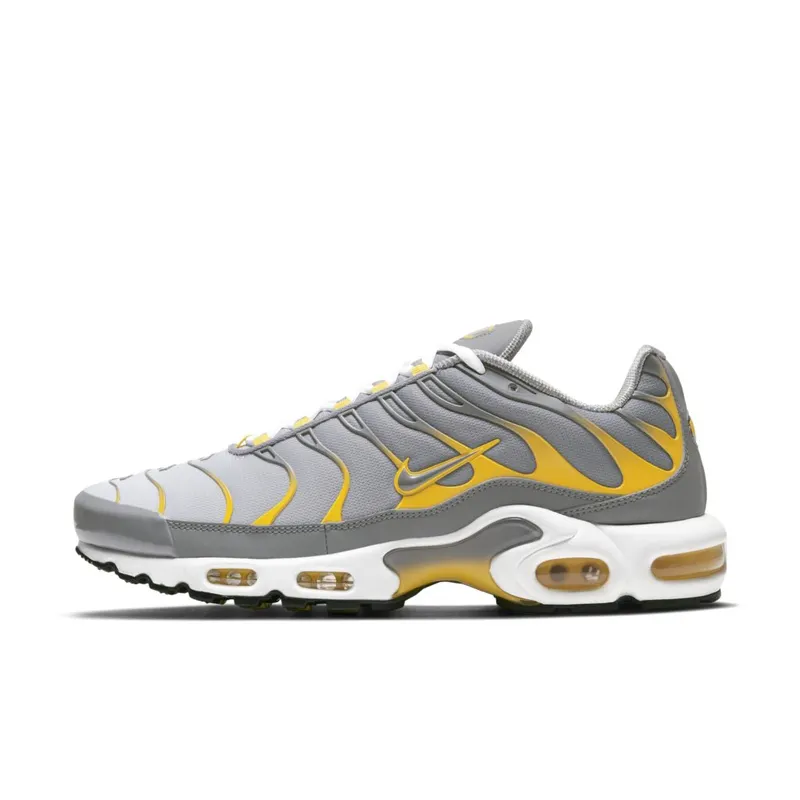 Nike Air Max Plus Grey (DD7111-001)
