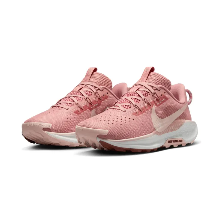 nike-air-pegasus DV3865-600