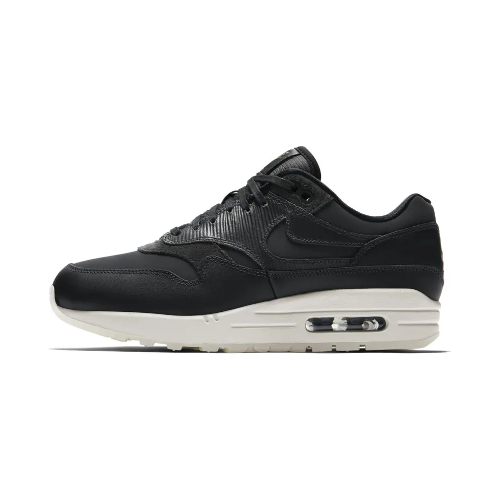 Nike Air Max 1 Anthracite (W) Anthracite/Anthracite-Black (454746-016)