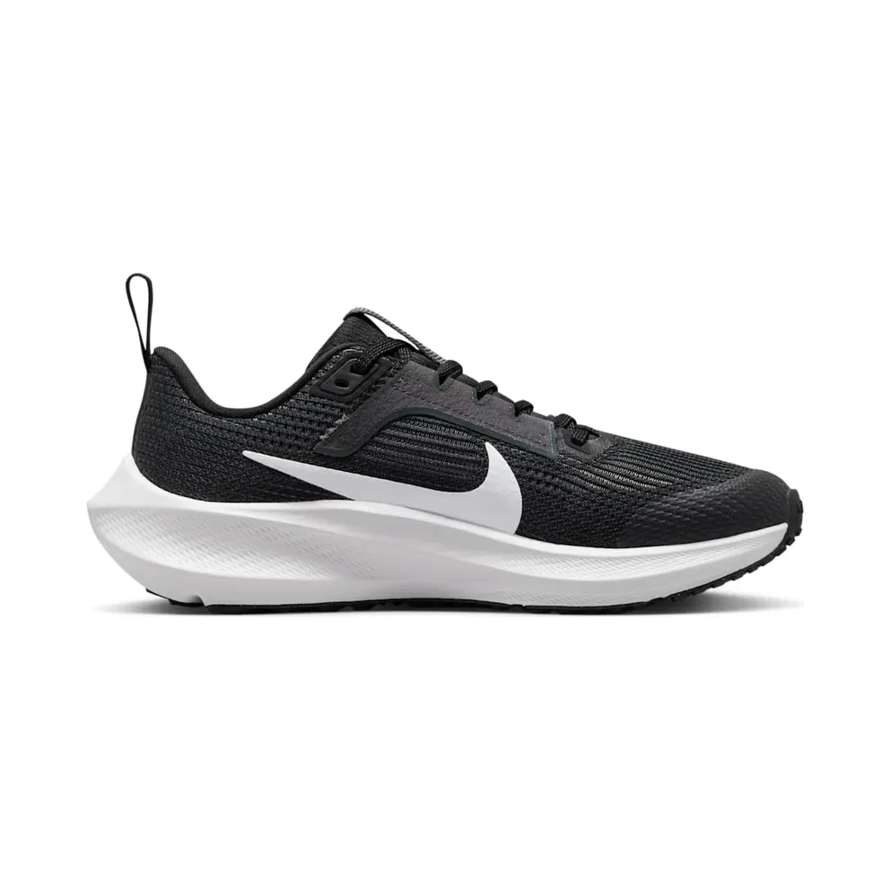 Nike Air Zoom Pegasus 40 “Black / Iron Grey / White” (DX2498-001)
