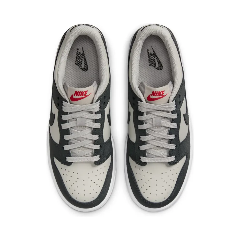 Nike Dunk Low GS “Anthracite” (FZ1000-001)