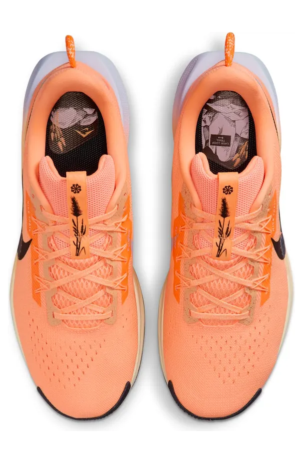 nike-air-pegasus DV3864-800