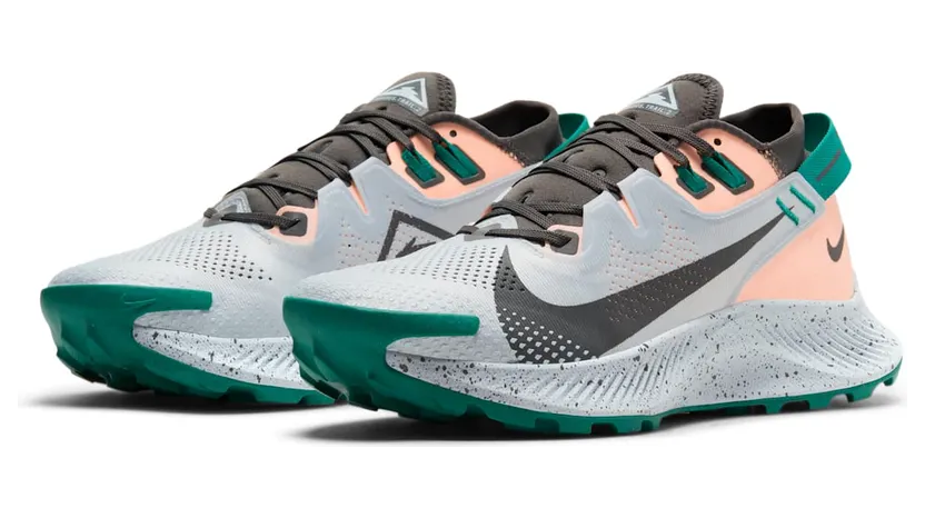 nike-air-pegasus CK4309-004