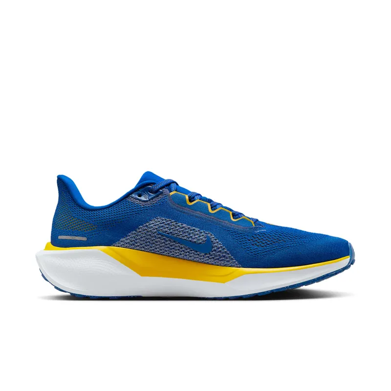 Nike Air Zoom Pegasus 41 North Carolina A&T (FZ5132-400)