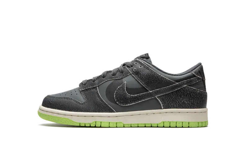 Nike Dunk Low SE Older Kids’ Grey (DQ6215-001)