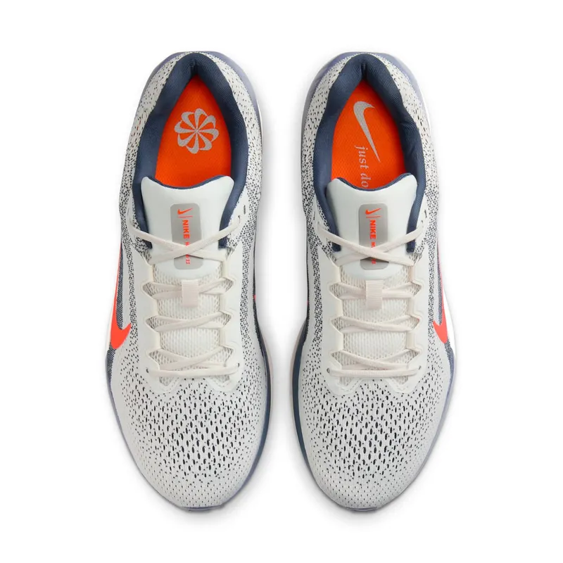 Nike Winflo 11 Sail Thunder Blue Light Iron Ore Total Orange (FJ9509-103)