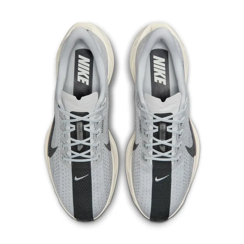 Nike Pegasus Pure Platinum/Wolf Grey/Sail/Anthracite (FQ7262-017)