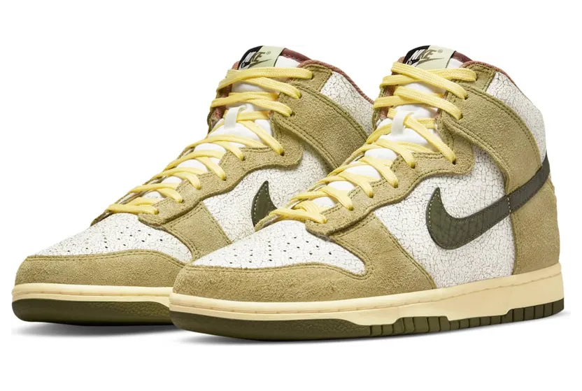 nike-dunk DO6713-300