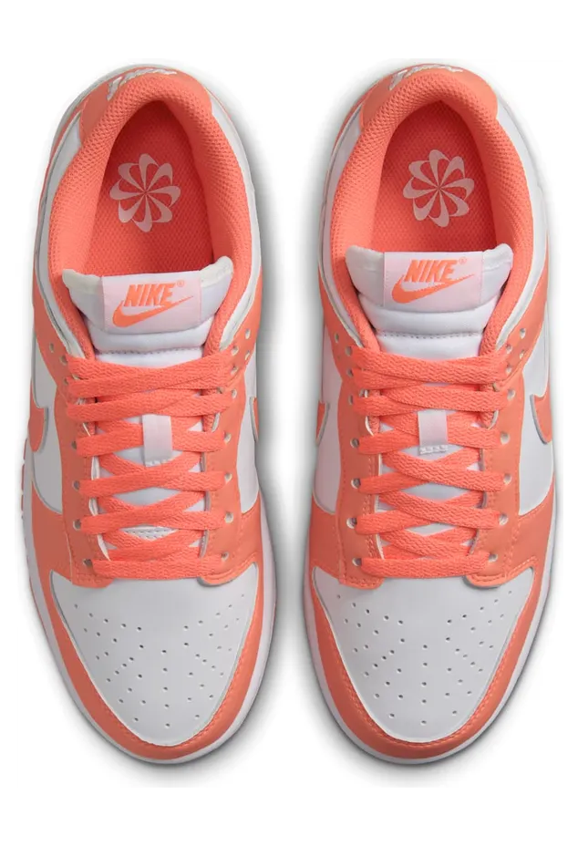 nike-dunk DD1873-109