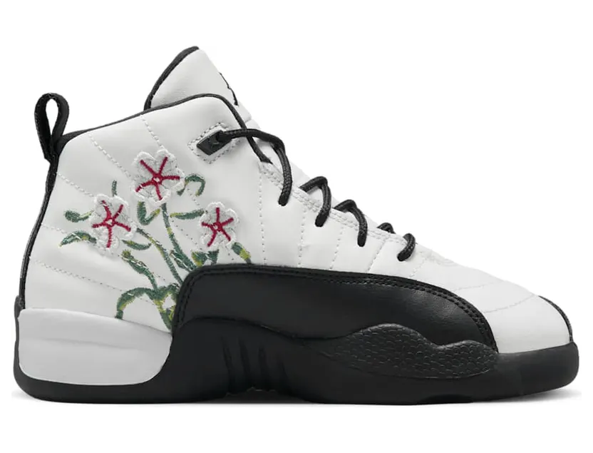 air-jordan-12 DR6954-100