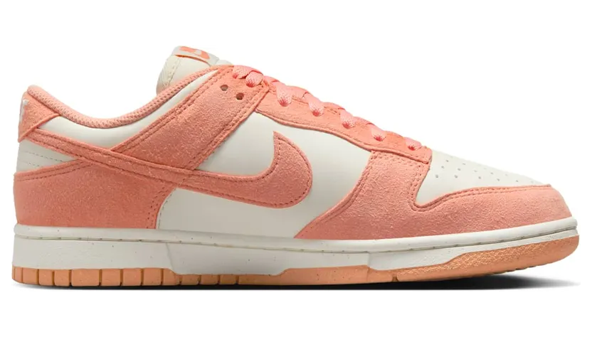 nike-dunk HJ7673-003