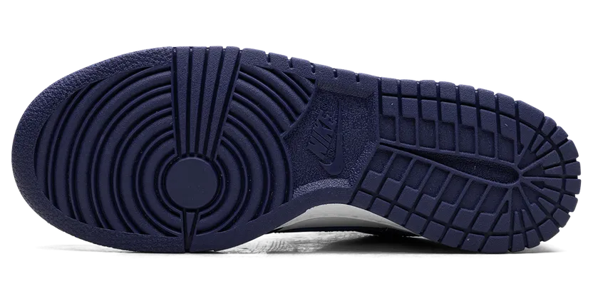 nike-dunk FB9109-106